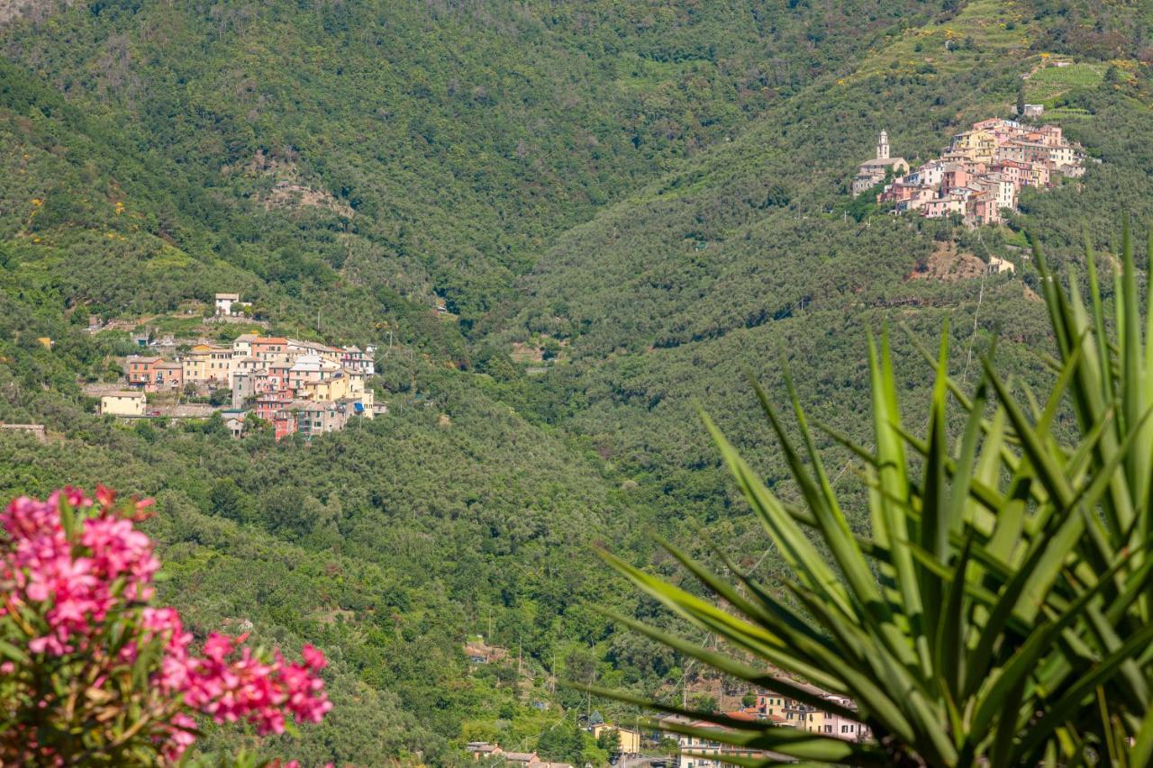Villa Dell'Erta - Levanto Montale  Exteriör bild