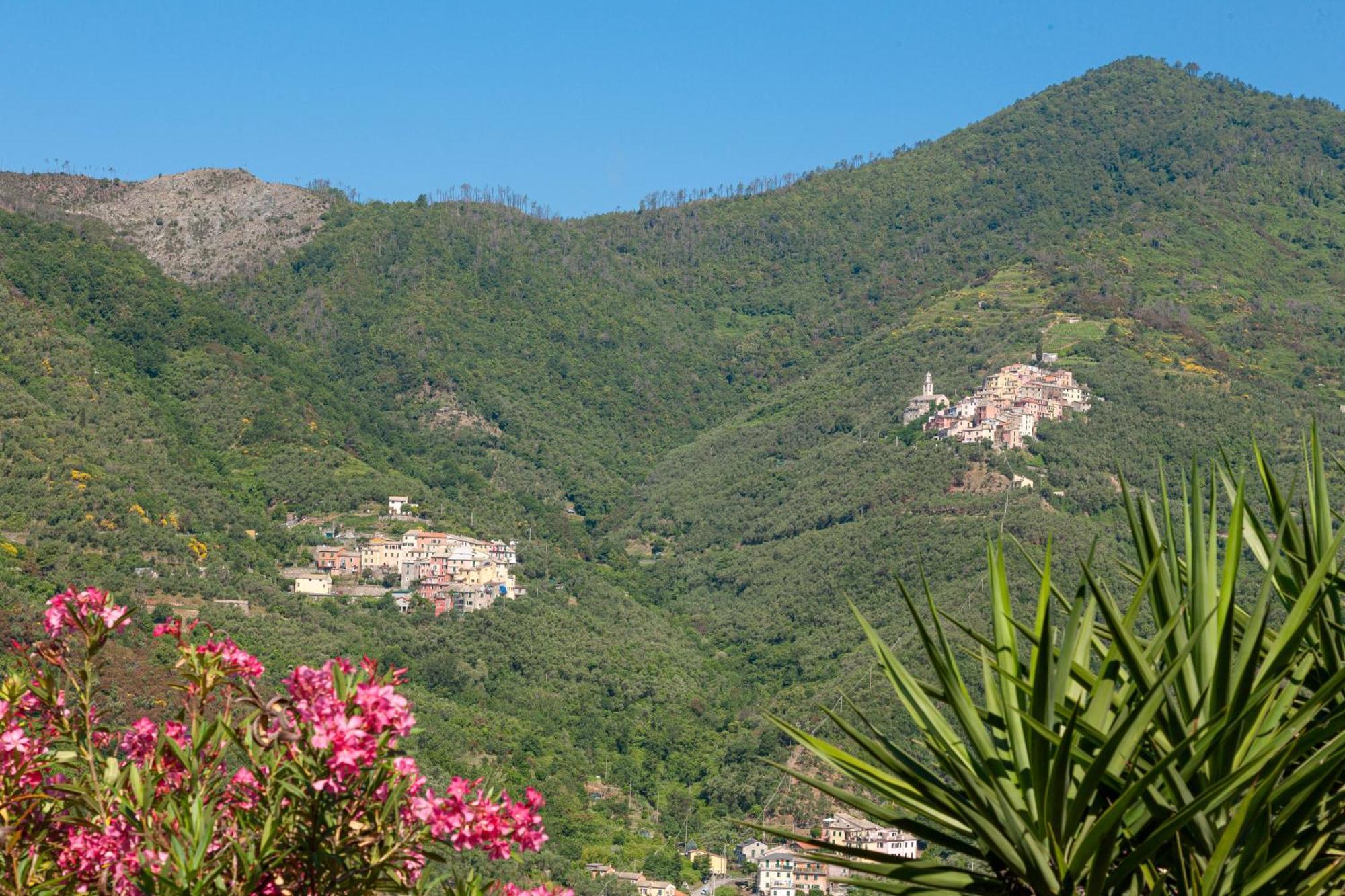 Villa Dell'Erta - Levanto Montale  Exteriör bild